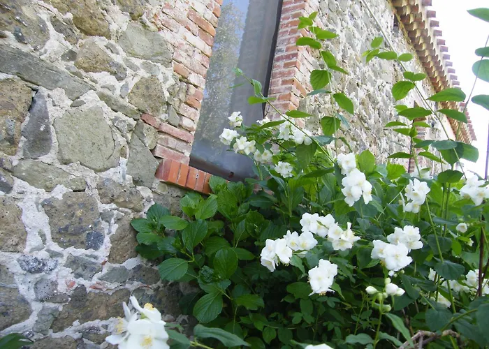 Agriturismo Il Giglio
