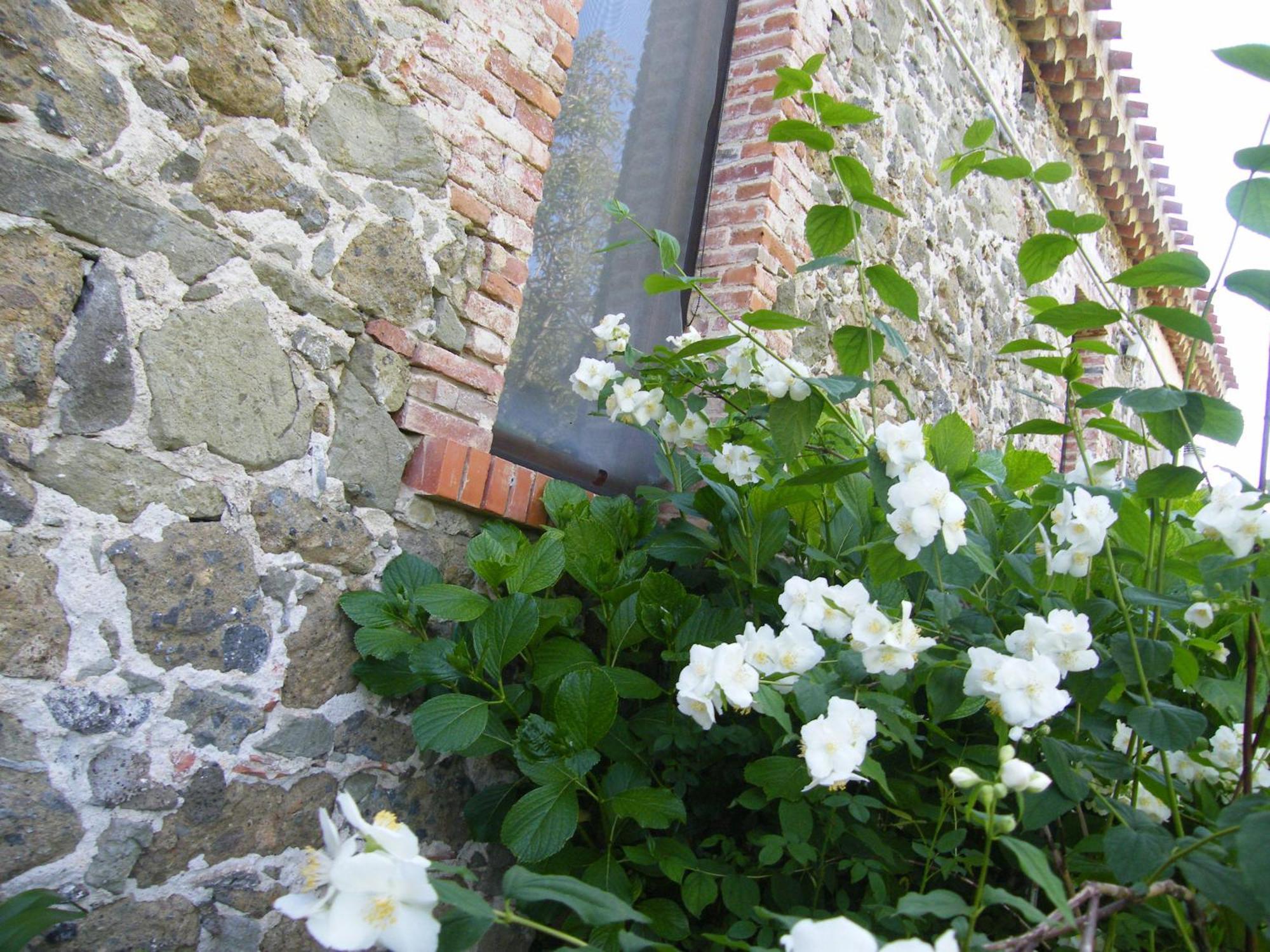 Il Giglio Oristano