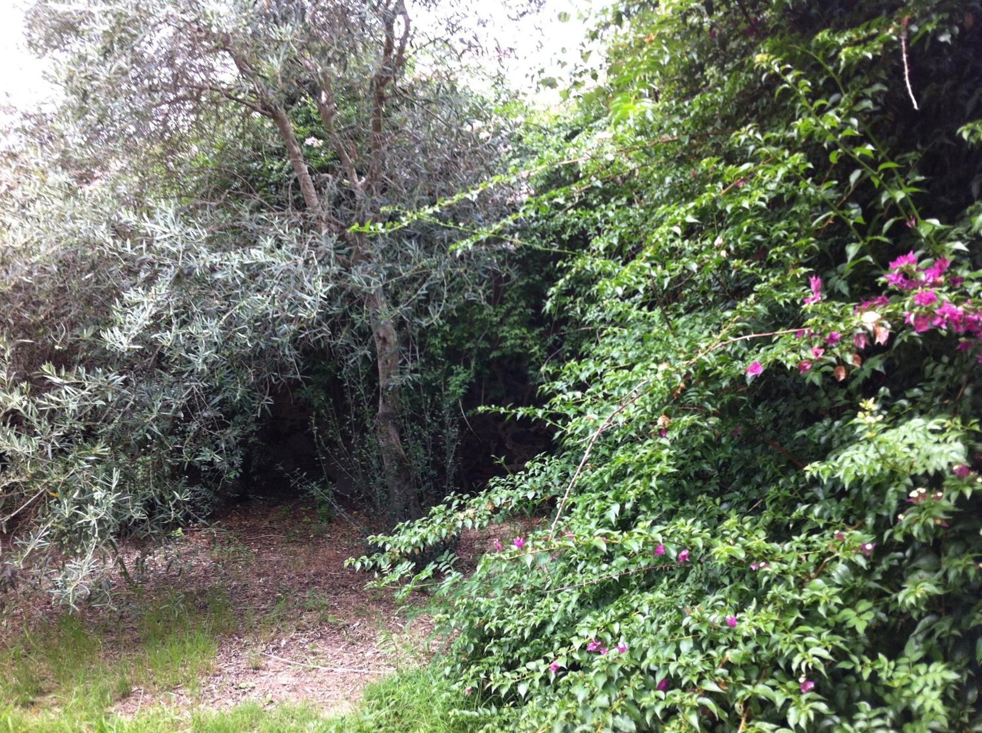 Farm stay Il Giglio *