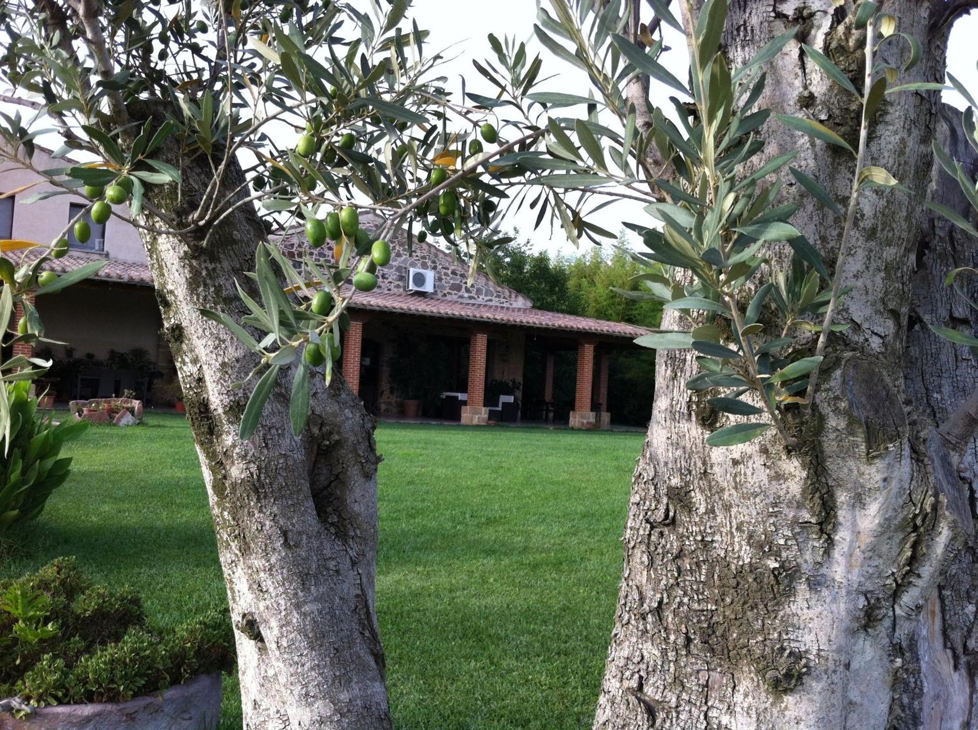 Il Giglio Oristano